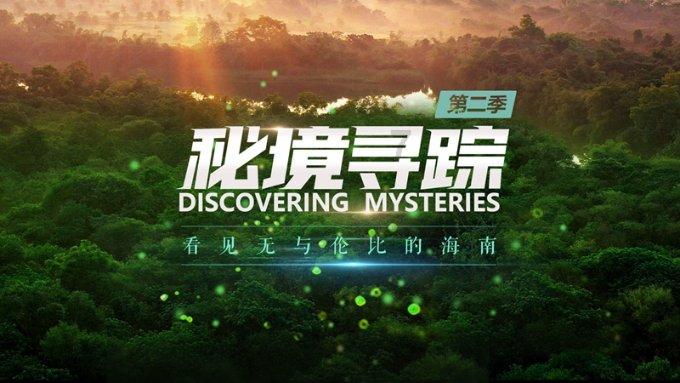 大批00后穿汉服“御剑飞行”，老外眼直了：好想试一试！